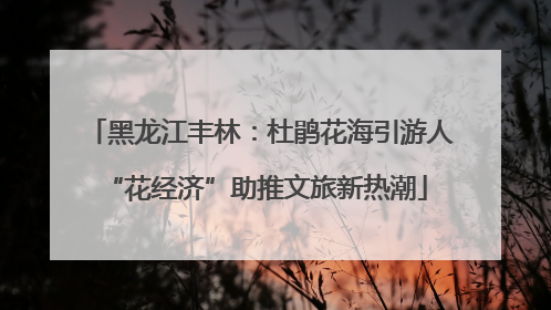黑龙江丰林：杜鹃花海引游人 “花经济”助推文旅新热潮