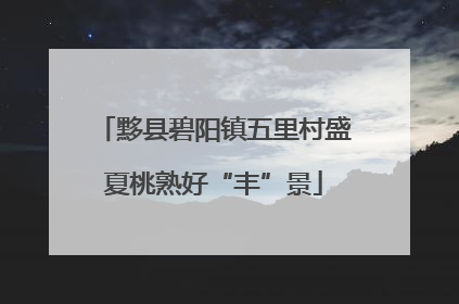 黟县碧阳镇五里村盛夏桃熟好“丰”景