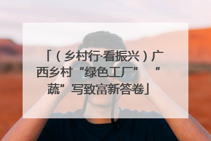 （乡村行·看振兴）广西乡村“绿色工厂” “蔬”写致富新答卷