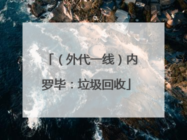 （外代一线）内罗毕：垃圾回收