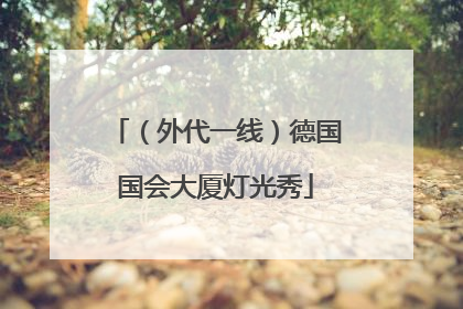 （外代一线）德国国会大厦灯光秀