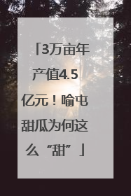 3万亩年产值4.5亿元！喻屯甜瓜为何这么“甜”