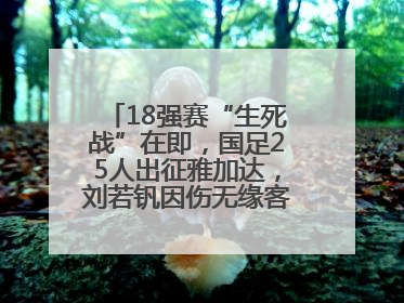 18强赛“生死战”在即，国足25人出征雅加达，刘若钒因伤无缘客战印尼