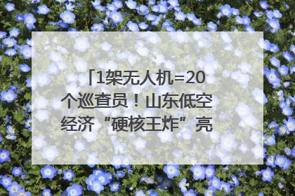 1架无人机=20个巡查员！山东低空经济“硬核王炸”亮相青岛，下一个万亿赛道藏在这里