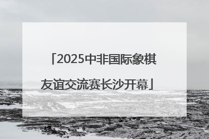 2025中非国际象棋友谊交流赛长沙开幕