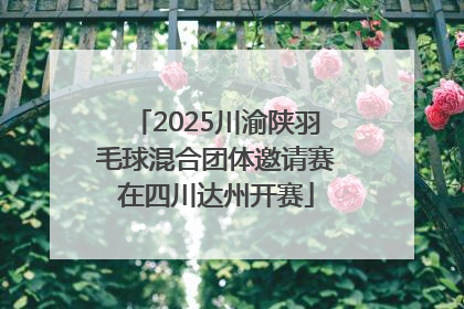 2025川渝陕羽毛球混合团体邀请赛在四川达州开赛