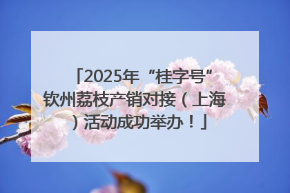 2025年“桂字号”钦州荔枝产销对接（上海）活动成功举办！