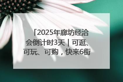 2025年廊坊经洽会倒计时3天｜可逛、可玩、可购，快来6街16巷逛市集