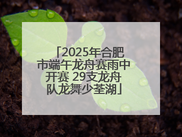 2025年合肥市端午龙舟赛雨中开赛 29支龙舟队龙舞少荃湖