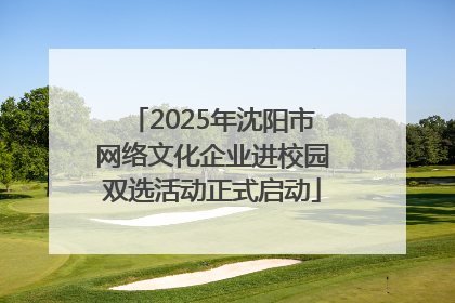 2025年沈阳市网络文化企业进校园双选活动正式启动