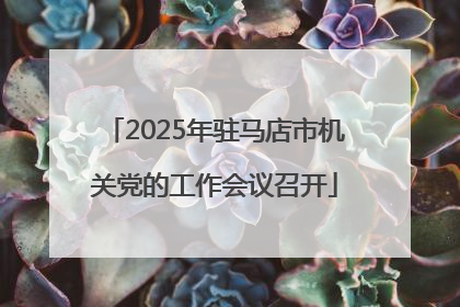 2025年驻马店市机关党的工作会议召开
