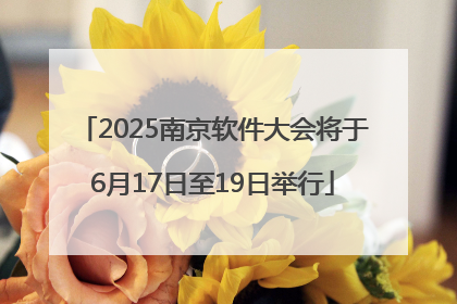 2025南京软件大会将于6月17日至19日举行