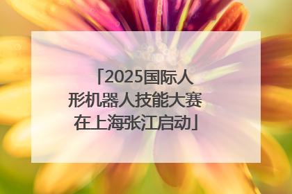 2025国际人形机器人技能大赛在上海张江启动
