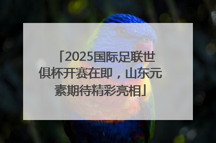 2025国际足联世俱杯开赛在即，山东元素期待精彩亮相