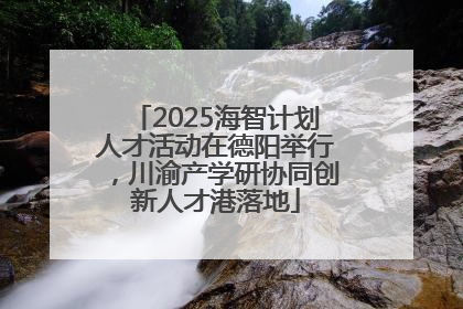 2025海智计划人才活动在德阳举行，川渝产学研协同创新人才港落地