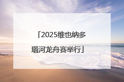 2025维也纳多瑙河龙舟赛举行