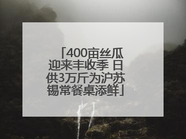 400亩丝瓜迎来丰收季 日供3万斤为沪苏锡常餐桌添鲜