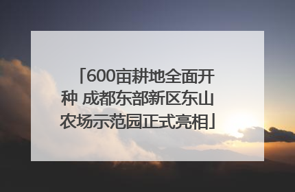 600亩耕地全面开种 成都东部新区东山农场示范园正式亮相