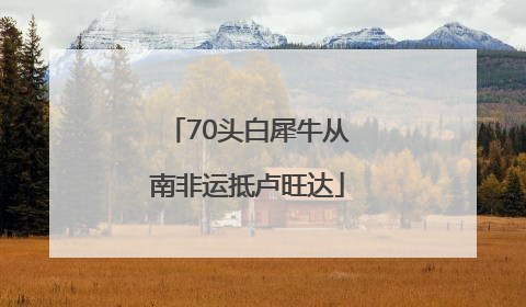 70头白犀牛从南非运抵卢旺达