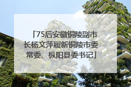 75后安徽铜陵副市长杨文萍履新铜陵市委常委、枞阳县委书记