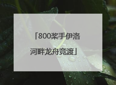 800桨手伊洛河畔龙舟竞渡