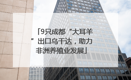 9只成都“大耳羊”出口乌干达，助力非洲养殖业发展