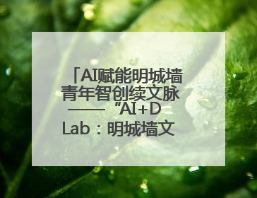 AI赋能明城墙 青年智创续文脉——“AI+D Lab：明城墙文化遗产设计工作坊”在南京开营