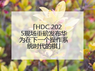 HDC 2025现场重磅发布华为在下一个操作系统时代的棋