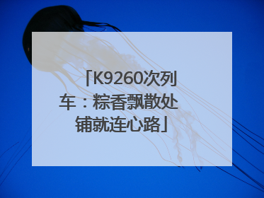 K9260次列车：粽香飘散处 铺就连心路