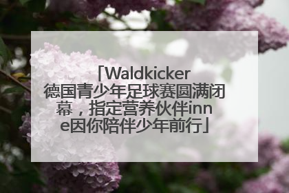 Waldkicker德国青少年足球赛圆满闭幕，指定营养伙伴inne因你陪伴少年前行